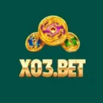 X03 Game